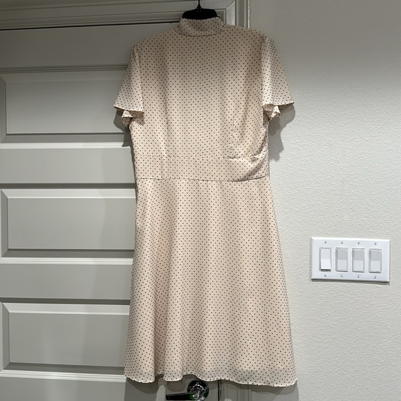 Maggy London Dress 12 Polka Dot Beige EUC - Picture 5 of 12